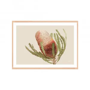 Banksia Native Living Art Flower 1 in Ivory Fine Art | FRAMED Tasmanian Oak Boxed Frame A3 (29.7cm x 42cm) With White Border Landscape by Luxe Mirrors, a Artwork & Wall Decor for sale on Style Sourcebook