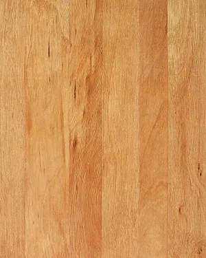 Nature Plank Brush Box by Exclusive Ranges, a Medium Neutral Vinyl for sale on Style Sourcebook