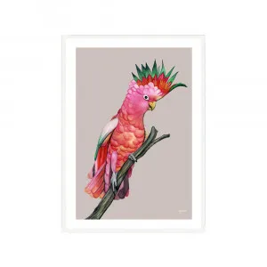 Mardi the Colourful Cockatoo in Pale Slate Fine Art Print | FRAMED White Boxed Frame A3 (29.7cm x 42cm) With White Border by Luxe Mirrors, a Artwork & Wall Decor for sale on Style Sourcebook