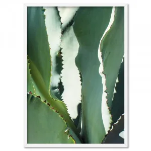 Agave Study I - Art Print by Print and Proper, a Prints for sale on Style Sourcebook