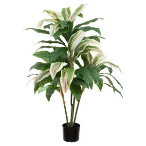 Glamorous Fusion Potted Real Touch Artificial Cordyling Plant, 135cm by Glamorous Fusion, a Plants for sale on Style Sourcebook