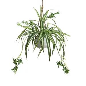 Glamorous Fusion Artificial Spider Plant in Hanging Pot, 68cm by Glamorous Fusion, a Plants for sale on Style Sourcebook