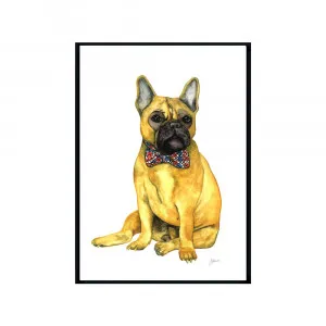 Anton the French Bulldog Fine Art Print | FRAMED Black Boxed Frame A3 (29.7cm x 42cm) by Luxe Mirrors, a Artwork & Wall Decor for sale on Style Sourcebook