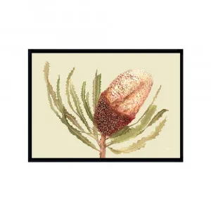 Banksia Native Living Art Flower 2 in Pale Sage Fine Art | FRAMED Black Boxed Frame A3 (29.7cm x 42cm) No White Border Landscape by Luxe Mirrors, a Artwork & Wall Decor for sale on Style Sourcebook