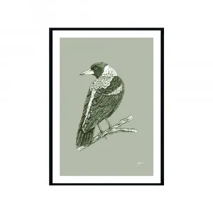 Magpie Australian Bird in Willow Green Fine Art Print | FRAMED Black Boxed Frame A3 (29.7cm x 42cm) by Luxe Mirrors, a Artwork & Wall Decor for sale on Style Sourcebook