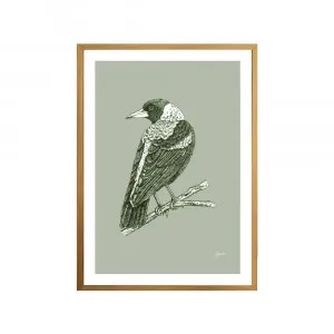 Magpie Australian Bird in Willow Green Fine Art Print | FRAMED Tasmanian Oak Boxed Frame A3 (29.7cm x 42cm) by Luxe Mirrors, a Artwork & Wall Decor for sale on Style Sourcebook