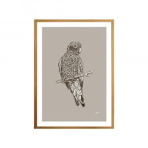 Galah Australian Bird in Pine Cone Fine Art Print | FRAMED Tasmanian Oak Boxed Frame A3 (29.7cm x 42cm) by Luxe Mirrors, a Artwork & Wall Decor for sale on Style Sourcebook