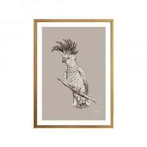 Sulphur Crested Cockatoo Australian Bird in Pine Cone Fine Art Print | FRAMED Tasmanian Oak Boxed Frame A3 (29.7cm x 42cm) by Luxe Mirrors, a Artwork & Wall Decor for sale on Style Sourcebook