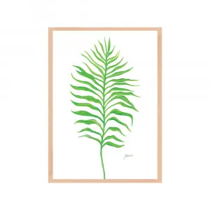 Tropical Fine Living Wall Art | FRAMED Tasmanian Oak Boxed Frame A3 (29.7cm x 42cm) by Luxe Mirrors, a Artwork & Wall Decor for sale on Style Sourcebook