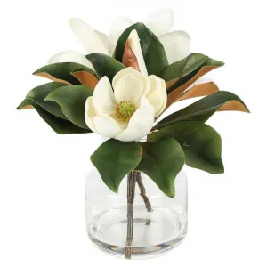 Maggie Artificial Magnolia Flower in Glass Vase by Florabelle, a Plants for sale on Style Sourcebook