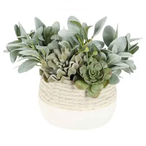 Stephanie Artificial Succulent & Sage Arrangement in Ceramic Pot by Florabelle, a Plants for sale on Style Sourcebook