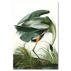 Great Blue Heron By John James Audubon by Gioia Wall Art, a Prints for sale on Style Sourcebook