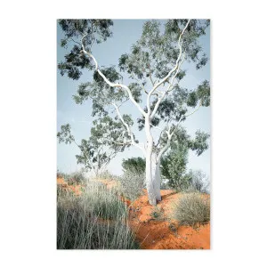 Australian Gum Tree by Gioia Wall Art, a Prints for sale on Style Sourcebook