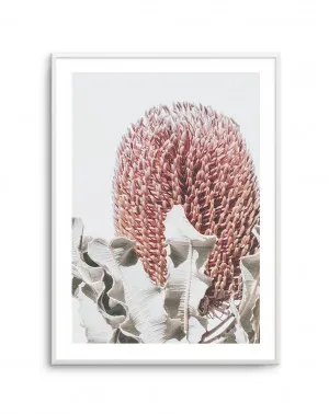 Blushing Banksia II | PT by oliveetoriel.com, a Original Artwork for sale on Style Sourcebook