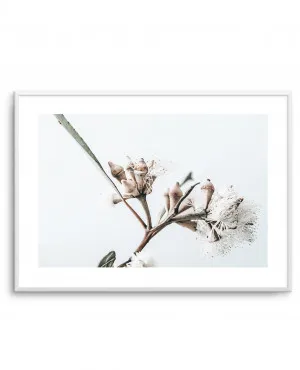 White Eucalyptus I by oliveetoriel.com, a Original Artwork for sale on Style Sourcebook