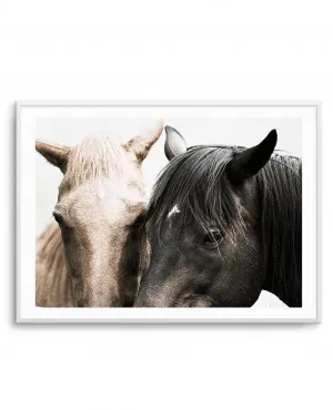 Soulmates | Horses by oliveetoriel.com, a Original Artwork for sale on Style Sourcebook