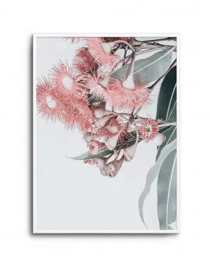 Summer Eucalyptus by oliveetoriel.com, a Original Artwork for sale on Style Sourcebook