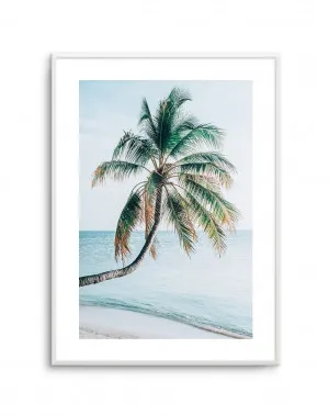 Maldivian Palm I by oliveetoriel.com, a Original Artwork for sale on Style Sourcebook