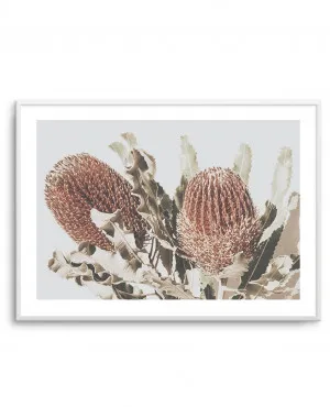 Native Banksia LS by oliveetoriel.com, a Original Artwork for sale on Style Sourcebook