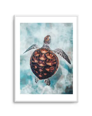 Little Turtle by oliveetoriel.com, a Prints for sale on Style Sourcebook