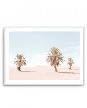 Palms Of Morocco by oliveetoriel.com, a Prints for sale on Style Sourcebook