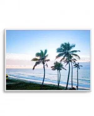 Palms of Surfers Paradise by oliveetoriel.com, a Prints for sale on Style Sourcebook