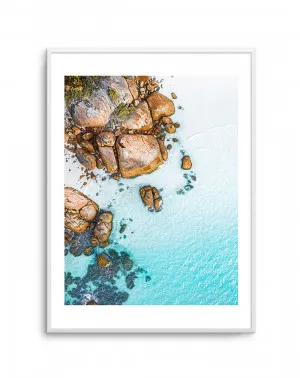 Thistle Cove I by oliveetoriel.com, a Prints for sale on Style Sourcebook