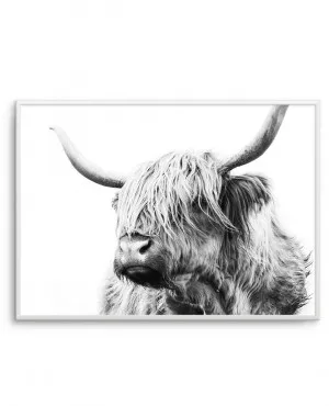 Highland Cow B&W Close-up by oliveetoriel.com, a Prints for sale on Style Sourcebook