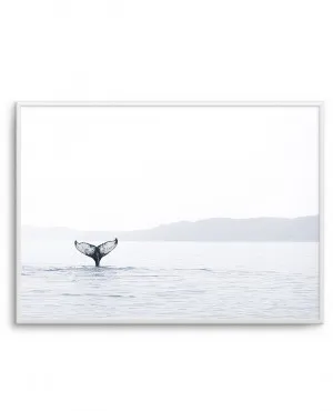 Whale Song by oliveetoriel.com, a Prints for sale on Style Sourcebook