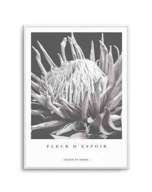 Fleur D'Espoir | King Protea by oliveetoriel.com, a Prints for sale on Style Sourcebook