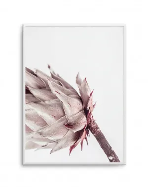 Abstract Protea I by oliveetoriel.com, a Prints for sale on Style Sourcebook