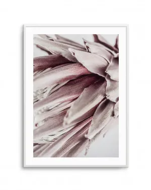 Abstract Protea II by oliveetoriel.com, a Prints for sale on Style Sourcebook