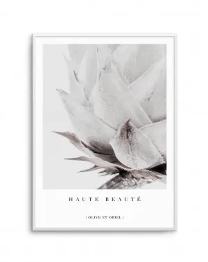 Haute Beaute | King Protea by oliveetoriel.com, a Prints for sale on Style Sourcebook