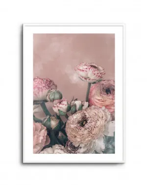 Blush Ranunculus by oliveetoriel.com, a Prints for sale on Style Sourcebook