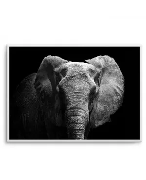 Elephant De Nuit | LS by oliveetoriel.com, a Prints for sale on Style Sourcebook
