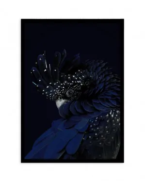 Black Cockatoo by oliveetoriel.com, a Prints for sale on Style Sourcebook