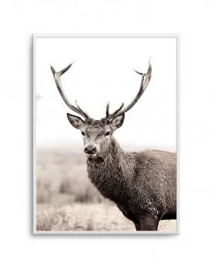 Mountain Stag | PT by oliveetoriel.com, a Prints for sale on Style Sourcebook