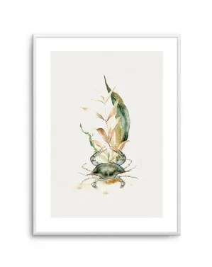 Watercolour Crab by oliveetoriel.com, a Prints for sale on Style Sourcebook