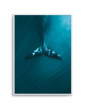 Whale Tail | Blue by oliveetoriel.com, a Prints for sale on Style Sourcebook
