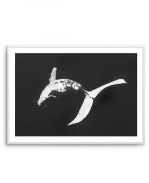 Humpback Whales I by oliveetoriel.com, a Prints for sale on Style Sourcebook