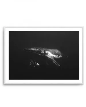 Humpback Whales II by oliveetoriel.com, a Prints for sale on Style Sourcebook