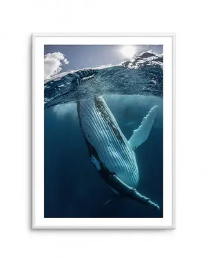 Humpback Whales III by oliveetoriel.com, a Prints for sale on Style Sourcebook