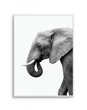 Elephant I by oliveetoriel.com, a Prints for sale on Style Sourcebook