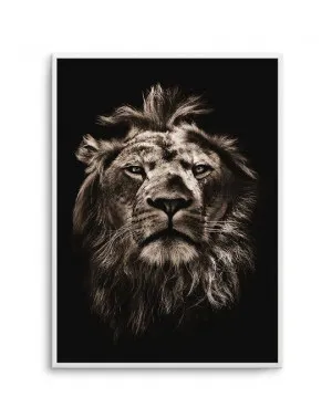 Golden Lion by oliveetoriel.com, a Prints for sale on Style Sourcebook