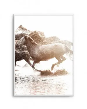 Riviere Stallions | Right by oliveetoriel.com, a Prints for sale on Style Sourcebook