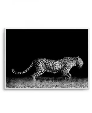 Leopard De Nuit | LS by oliveetoriel.com, a Prints for sale on Style Sourcebook