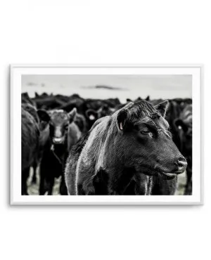 Herd | LS by oliveetoriel.com, a Prints for sale on Style Sourcebook