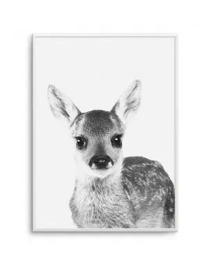 Baby Deer | B&W by oliveetoriel.com, a Prints for sale on Style Sourcebook
