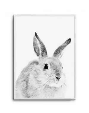 Bunny | B&W by oliveetoriel.com, a Prints for sale on Style Sourcebook