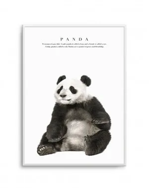 Panda by oliveetoriel.com, a Prints for sale on Style Sourcebook